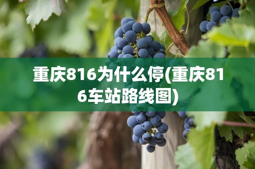 重庆816为什么停(重庆816车站路线图)