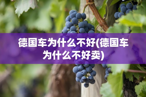 德国车为什么不好(德国车为什么不好卖)