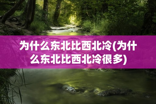 为什么东北比西北冷(为什么东北比西北冷很多)