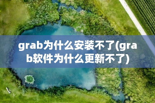 grab为什么安装不了(grab软件为什么更新不了)