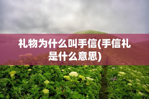 礼物为什么叫手信(手信礼是什么意思)