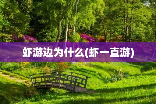 虾游边为什么(虾一直游)