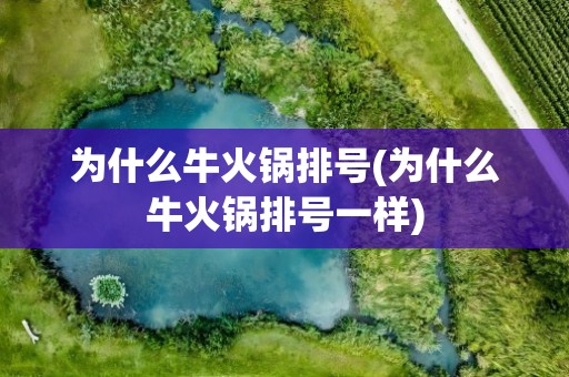 为什么牛火锅排号(为什么牛火锅排号一样)