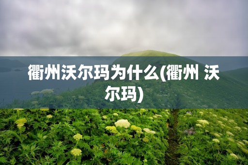 衢州沃尔玛为什么(衢州 沃尔玛)