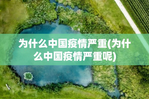 为什么中国疫情严重(为什么中国疫情严重呢)