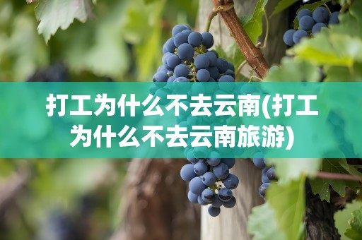 打工为什么不去云南(打工为什么不去云南旅游)