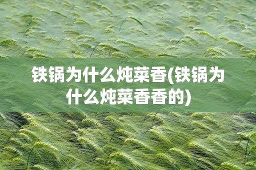 铁锅为什么炖菜香(铁锅为什么炖菜香香的)