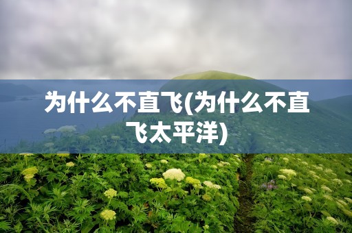 为什么不直飞(为什么不直飞太平洋)