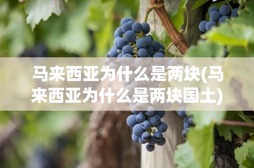 马来西亚为什么是两块(马来西亚为什么是两块国土)