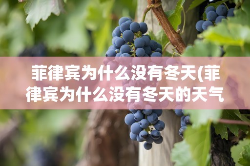 菲律宾为什么没有冬天(菲律宾为什么没有冬天的天气)