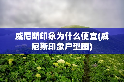 威尼斯印象为什么便宜(威尼斯印象户型图)