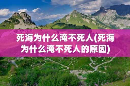 死海为什么淹不死人(死海为什么淹不死人的原因)