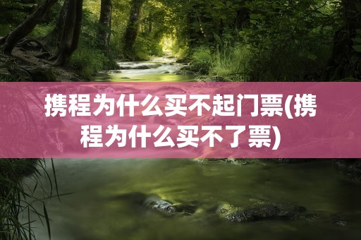 携程为什么买不起门票(携程为什么买不了票)