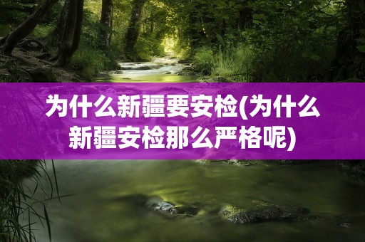 为什么新疆要安检(为什么新疆安检那么严格呢)