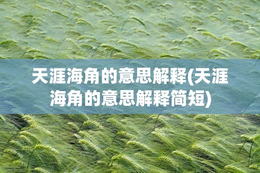 天涯海角的意思解释(天涯海角的意思解释简短)