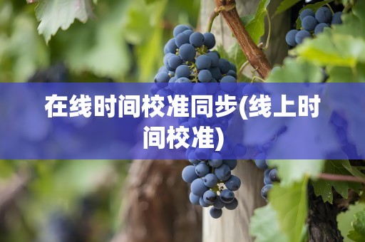 在线时间校准同步(线上时间校准)