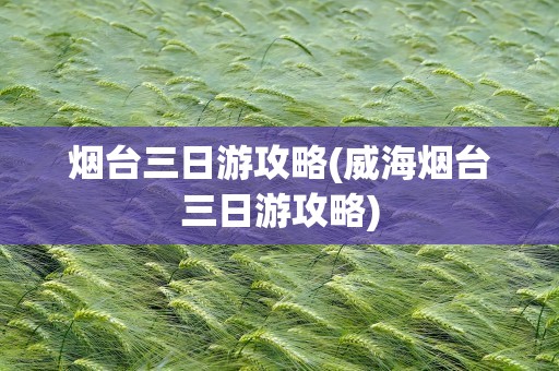 烟台三日游攻略(威海烟台三日游攻略)