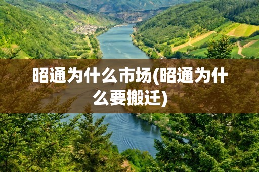昭通为什么市场(昭通为什么要搬迁)