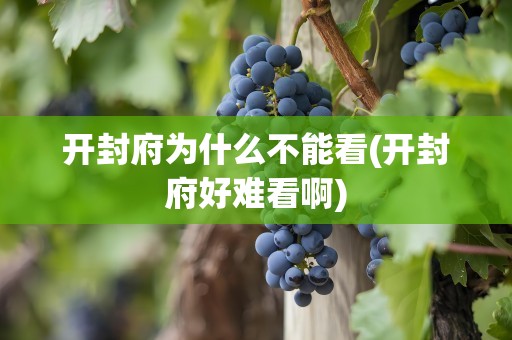 开封府为什么不能看(开封府好难看啊)