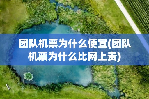 团队机票为什么便宜(团队机票为什么比网上贵)