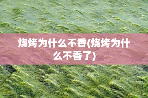 烧烤为什么不香(烧烤为什么不香了)
