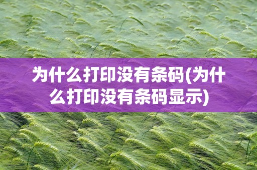 为什么打印没有条码(为什么打印没有条码显示)