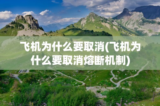 飞机为什么要取消(飞机为什么要取消熔断机制)