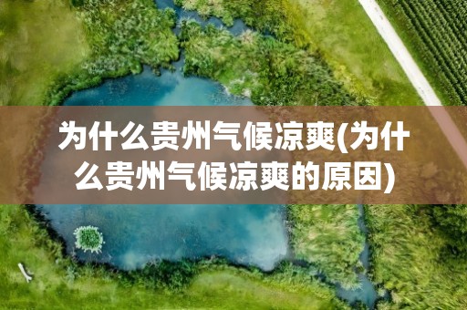 为什么贵州气候凉爽(为什么贵州气候凉爽的原因)