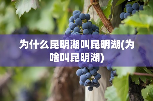 为什么昆明湖叫昆明湖(为啥叫昆明湖)