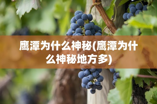 鹰潭为什么神秘(鹰潭为什么神秘地方多)