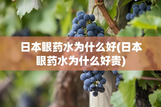 日本眼药水为什么好(日本眼药水为什么好贵)