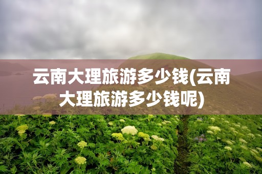 云南大理旅游多少钱(云南大理旅游多少钱呢)