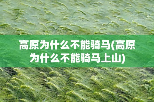 高原为什么不能骑马(高原为什么不能骑马上山)