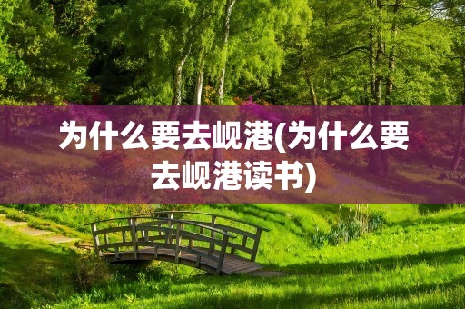 为什么要去岘港(为什么要去岘港读书)