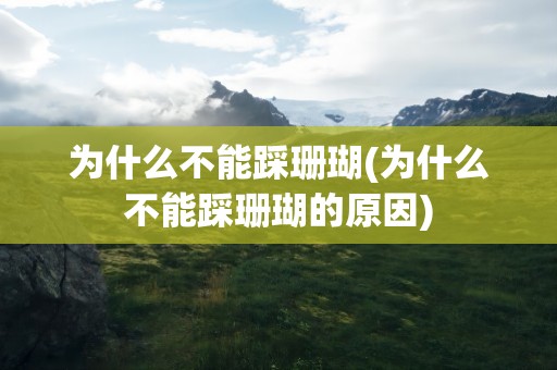 为什么不能踩珊瑚(为什么不能踩珊瑚的原因)