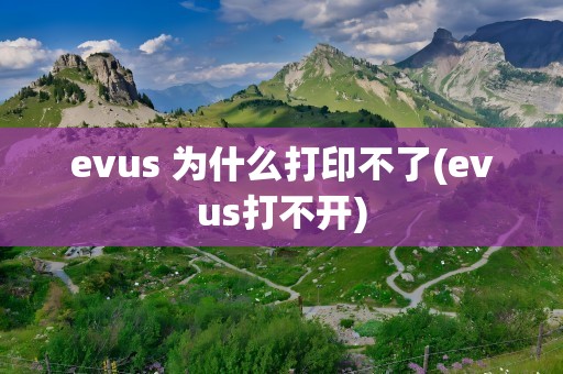 evus 为什么打印不了(evus打不开)