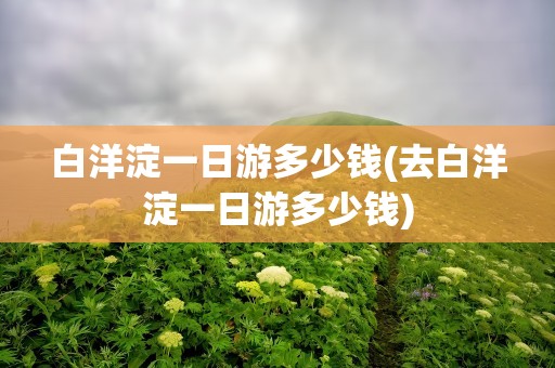 白洋淀一日游多少钱(去白洋淀一日游多少钱)