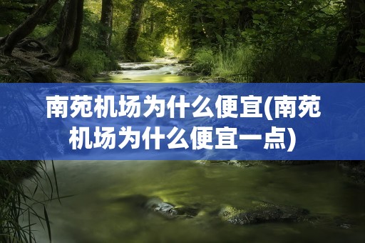 南苑机场为什么便宜(南苑机场为什么便宜一点)