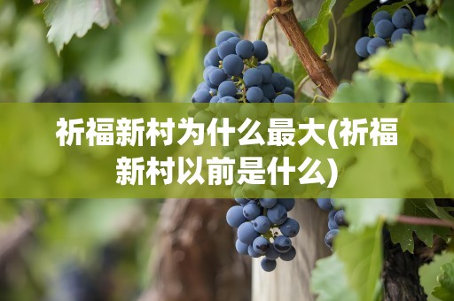 祈福新村为什么最大(祈福新村以前是什么)