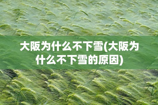 大阪为什么不下雪(大阪为什么不下雪的原因)