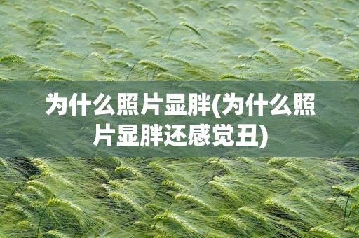 为什么照片显胖(为什么照片显胖还感觉丑)