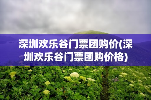 深圳欢乐谷门票团购价(深圳欢乐谷门票团购价格)