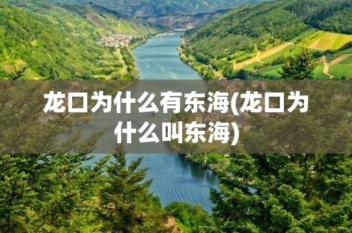 龙口为什么有东海(龙口为什么叫东海)