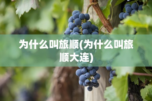为什么叫旅顺(为什么叫旅顺大连)