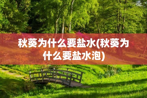 秋葵为什么要盐水(秋葵为什么要盐水泡)