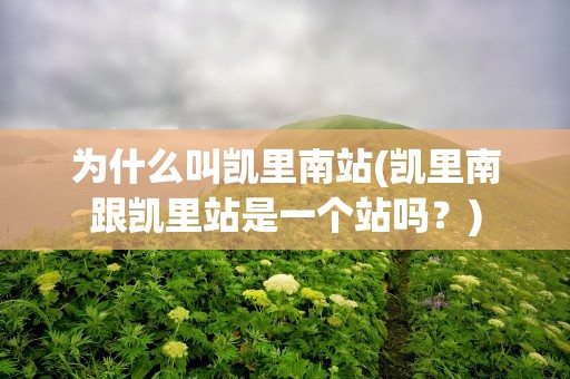 为什么叫凯里南站(凯里南跟凯里站是一个站吗？)