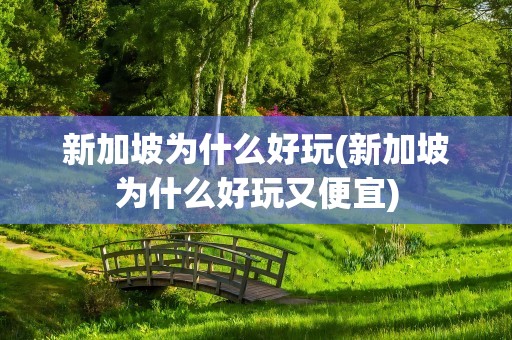 新加坡为什么好玩(新加坡为什么好玩又便宜)