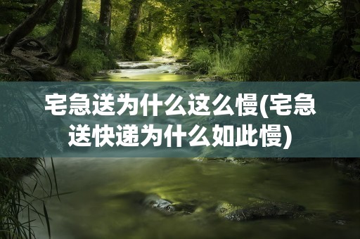 宅急送为什么这么慢(宅急送快递为什么如此慢)