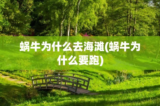 蜗牛为什么去海滩(蜗牛为什么要跑)