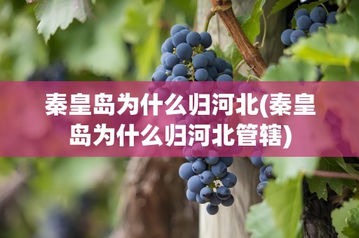 秦皇岛为什么归河北(秦皇岛为什么归河北管辖)